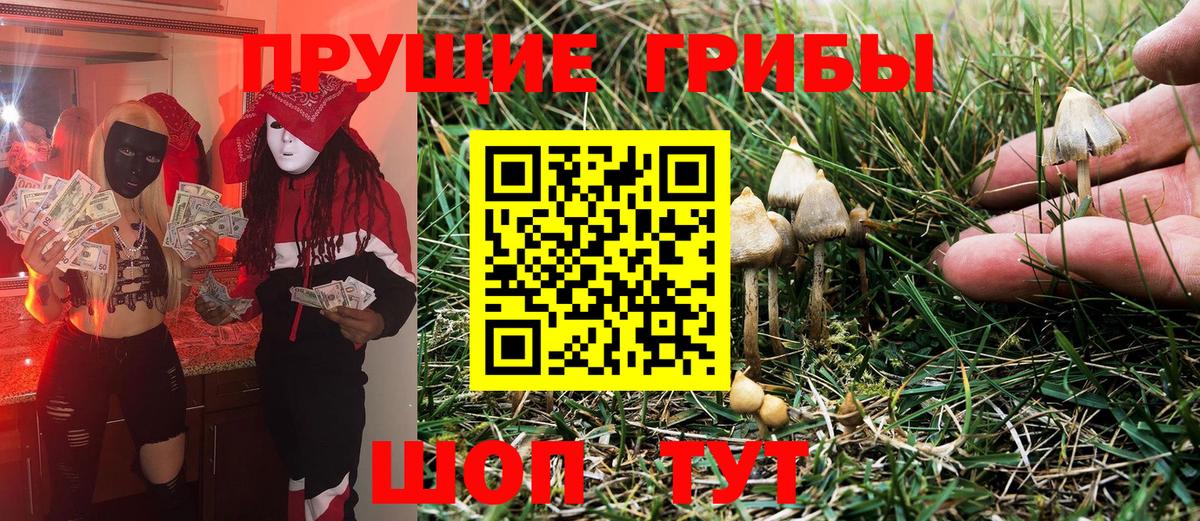 Псилоцибиновые грибы мицелий  Вход с VPN  Псилоцибиновые грибы Magic Shrooms  Грозный 