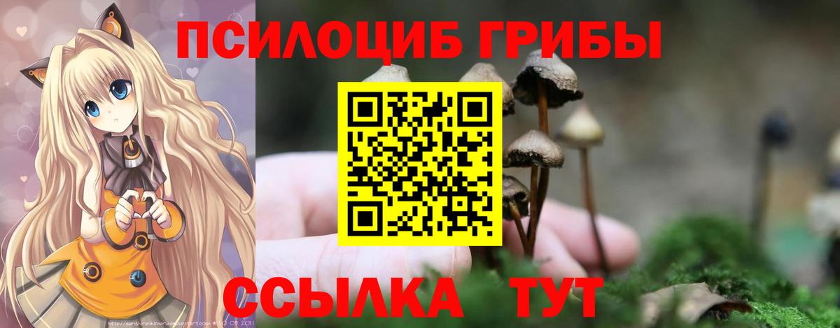 Псилоцибиновые грибы Psilocybe Грозный